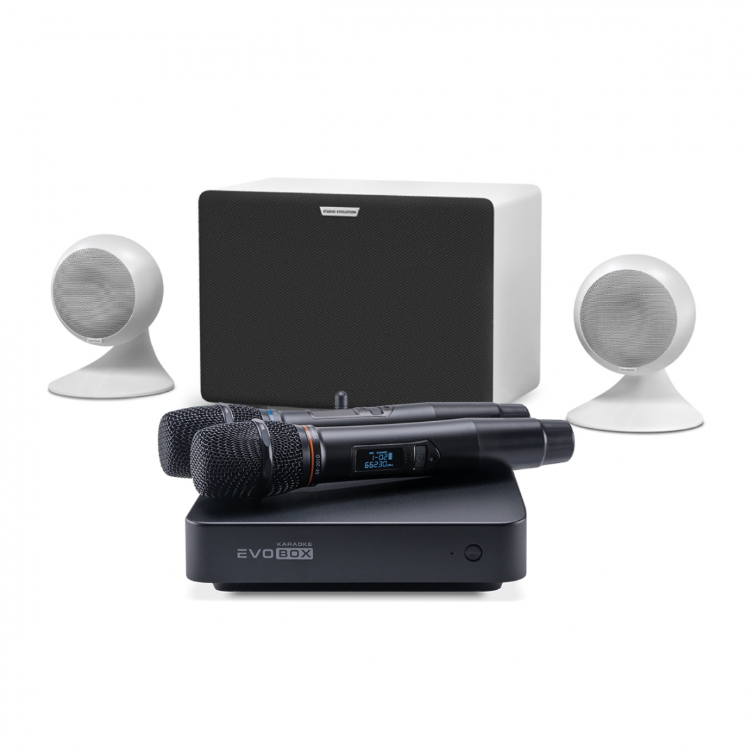 караоке-комплект EVOBOX Classic + EvoSound Sphere 2.1 в Железнодорожном