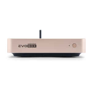 EVOBOX Classic караоке-система для дома в Железнодорожном