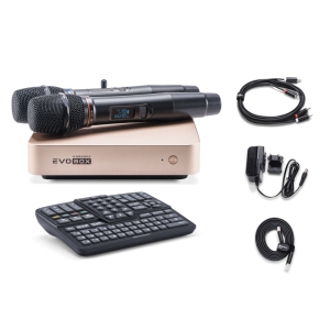 EVOBOX Classic караоке-система для дома в Железнодорожном