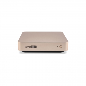 EVOBOX с микрофонами в Железнодорожном